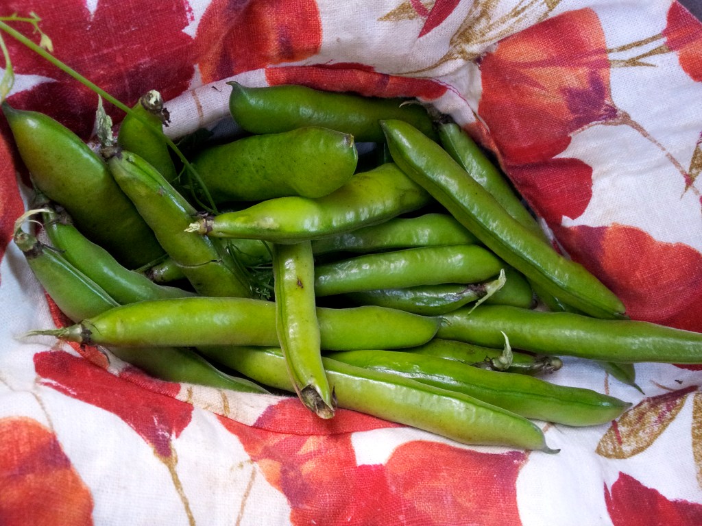 It’s bean a while…