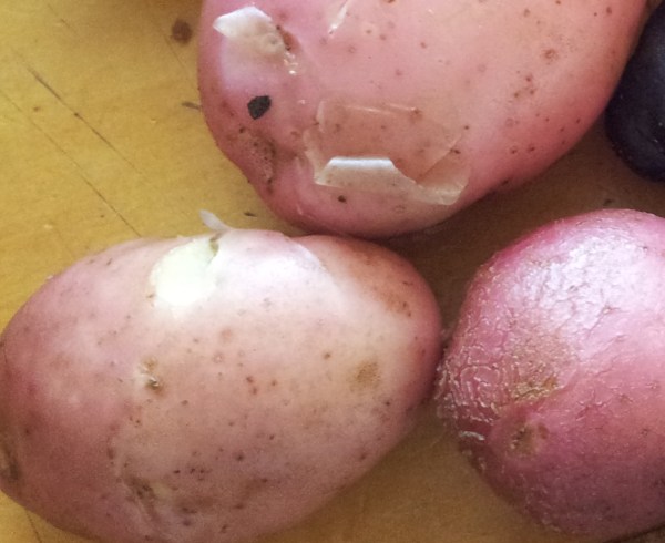 20141207_160535 - Version 2