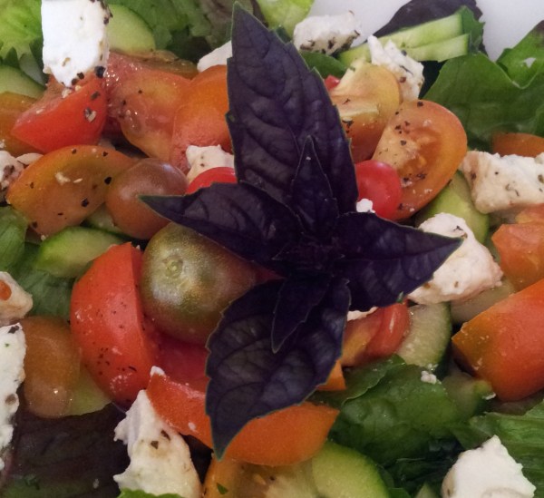 20150117_181828 - Version 3