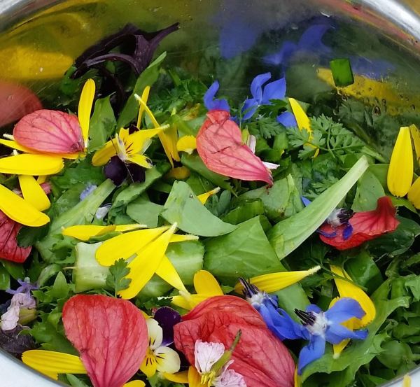 20150916_cu finished salad