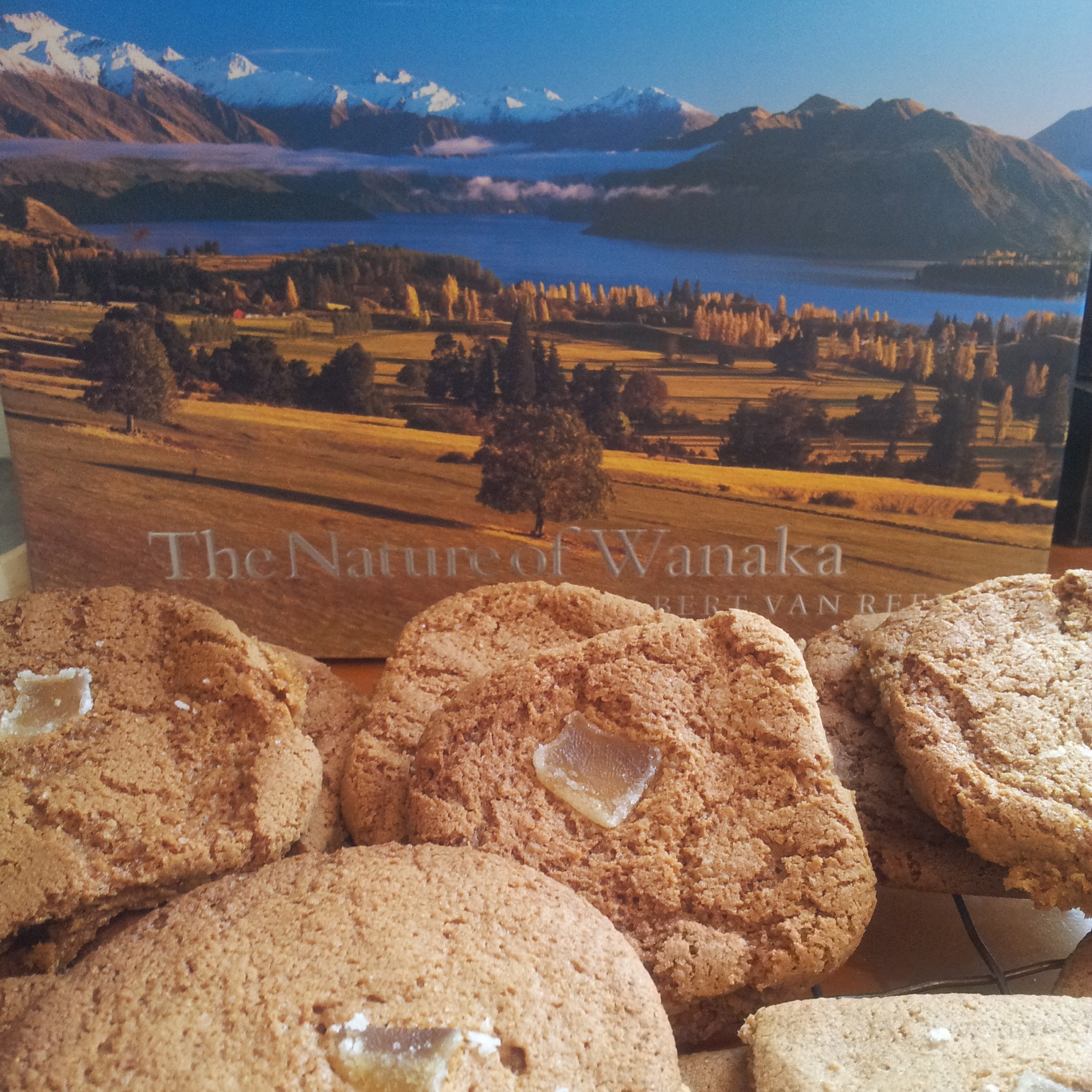 Gingernuts with Wanaka bg