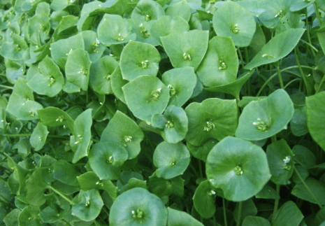 Screen Shot 2015-09-30 at 6.22.33 pm