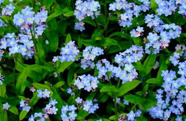 Screen Shot 2015-09-30 at 6.38.24 pm