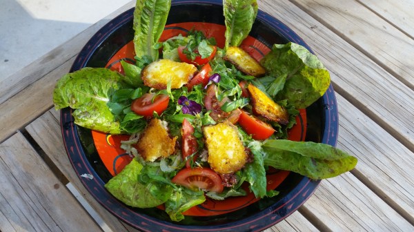 An autumn salad from the&nbsp;garden