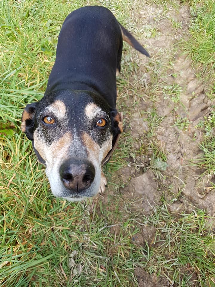 21730855_857877171041223_2776250219554620204_n