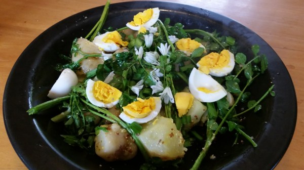 Potato & Watercress&nbsp;Salad