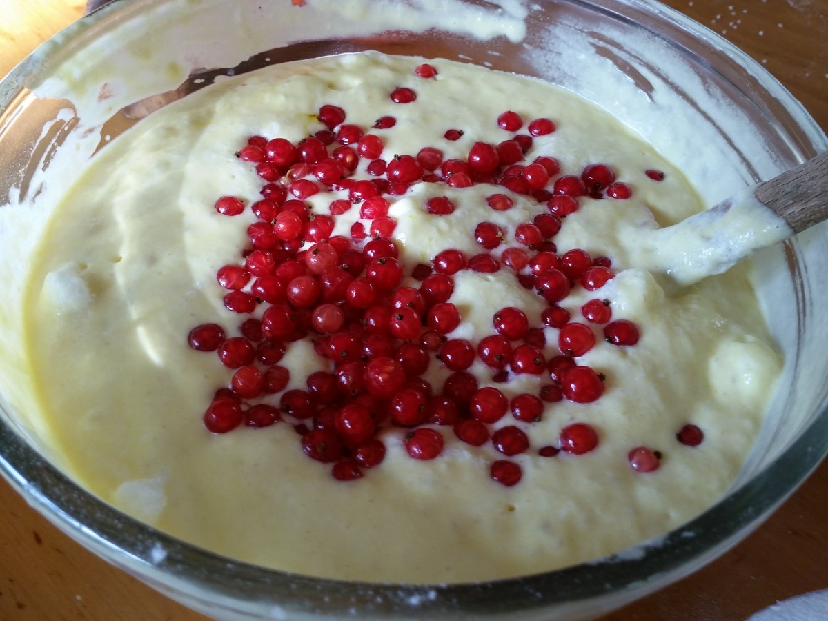 Red currants – the jewels of&nbsp;summer