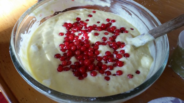 Red currants – the jewels of&nbsp;summer