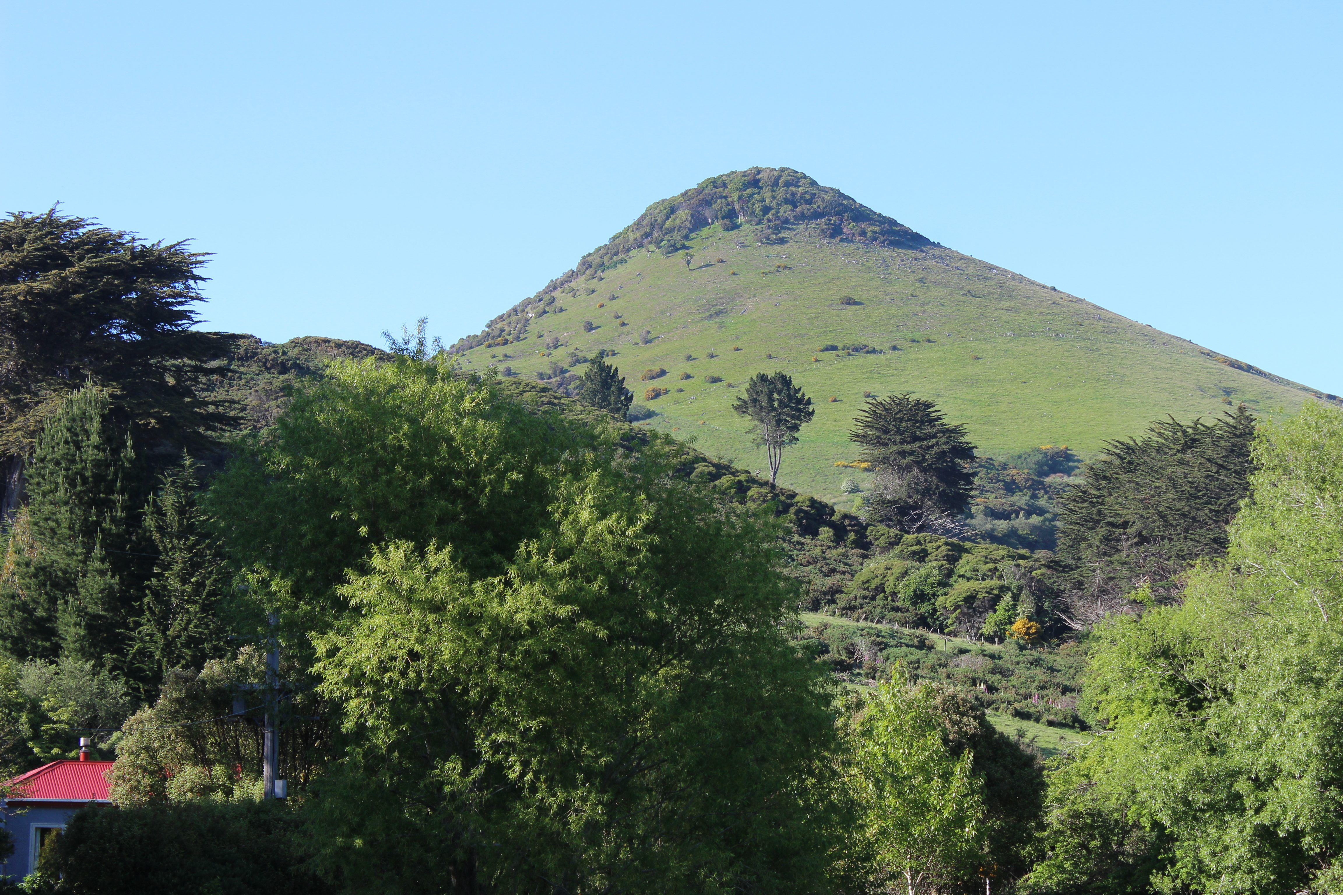 Hereweka maunga (aka Harbour Cone) on the Otago Peninsula. The red roof is our farmhouse.